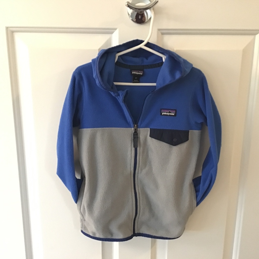 Patagonia micro D snap-T fleece hoodie